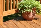 Upper Plentypatios-4.jpg; ?>